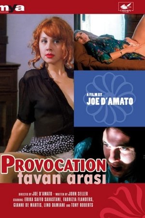 Tavan Arası 1995 izle