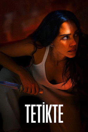 Tetikte (2024) Türkçe Dublaj